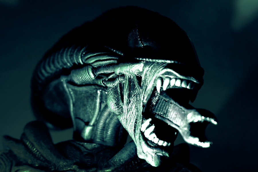 A Xenomorph by Katzilla13