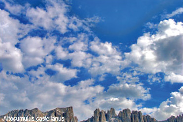 altocumulus