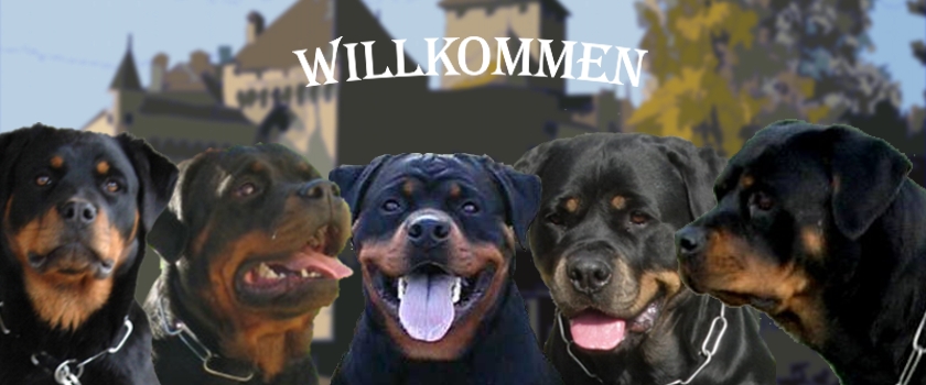 Bilder-Thread titelcms