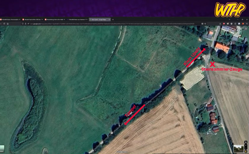 fabiansteinsammlerzeuge1