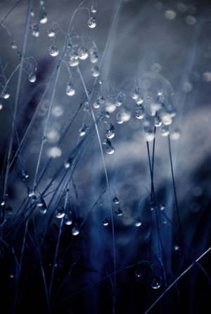 Bilder-Thread 5d4c3e 300full-1