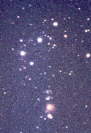 OrionnebelWC384CHTER