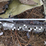 MH17 von BUK durch Separatisten abgeschossen - Juristische Konsequenzen YW537P