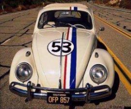 herbie