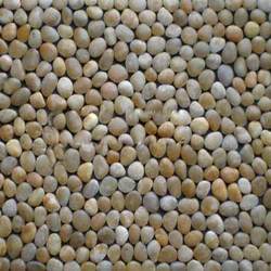 Kleine, flache Steine mit einem Gewicht zwischen 30-127g polished-river-pebbles-250x250