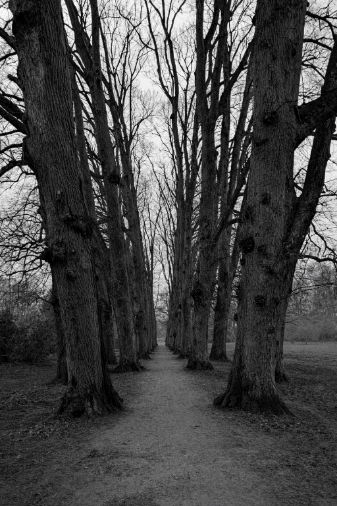 a50c74e0-d3a5-44b7-85c6-dbb2a245876b cop