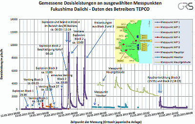 japan daini messungen 23 grs sardog 400