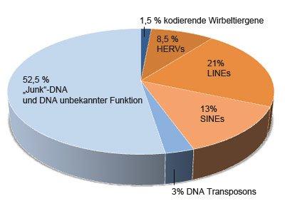 01-16555-virolution01