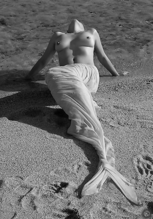 Bilder-Thread tayzK3g wfK2b1 mermaid