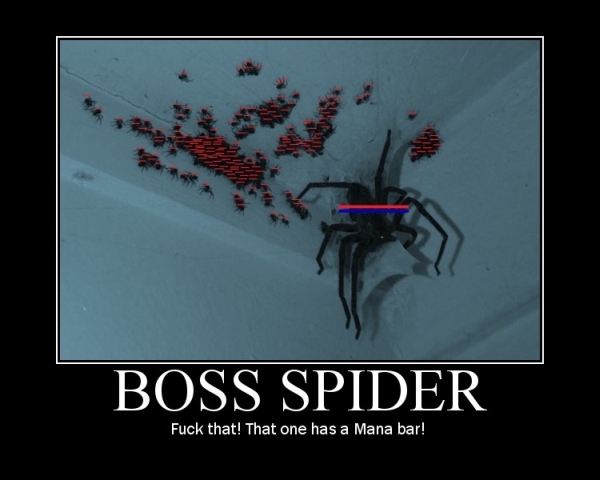 Bilder-Thread Spinne2