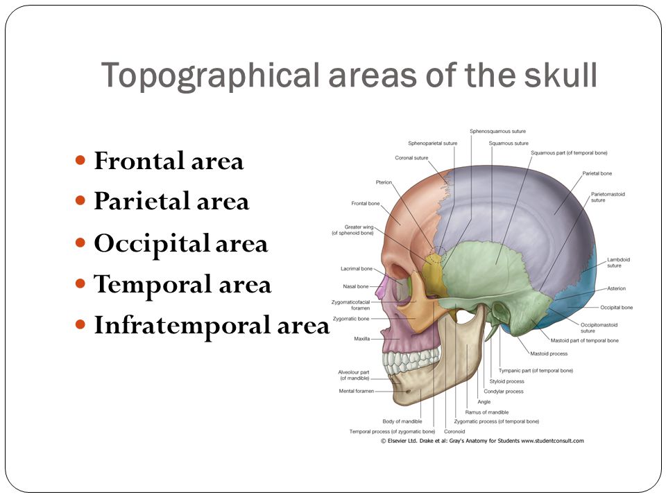 slide 15