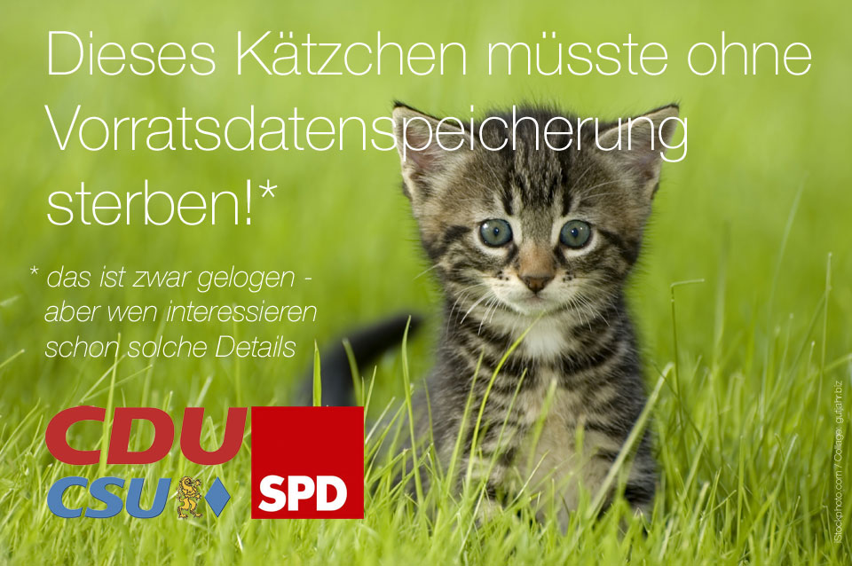 big vorratsdaten katze