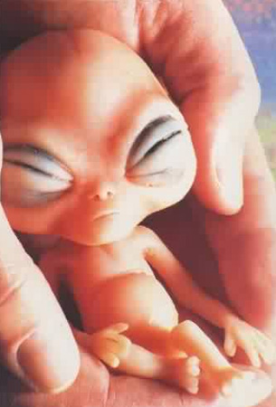 alienbaby6jw