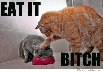 Bilder-Thread eat-it-bitch