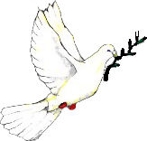 Peace dove