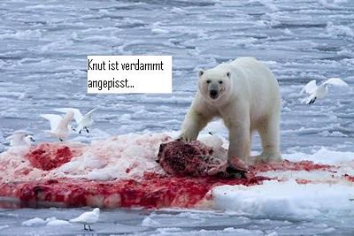 Bilder-Thread 400px-Knuthathunger