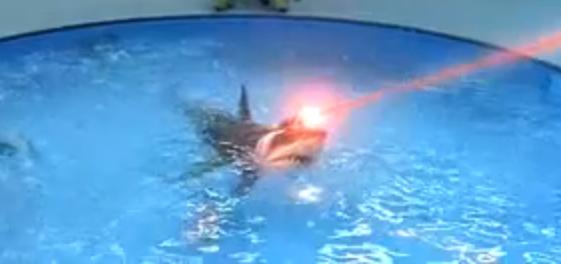Sharks-With-Frickin-Laser-Beams-Attached