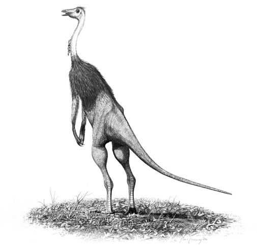 Struthiomimus altus jconway