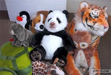 1442856938 stuffed panda comes to life  