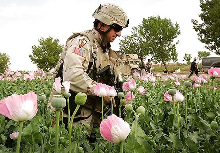 us opium