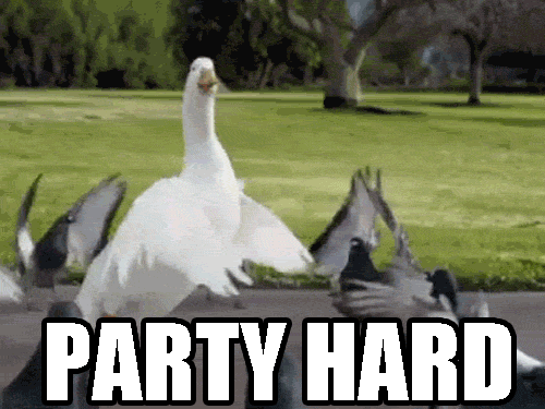 Party-Hard-Gif