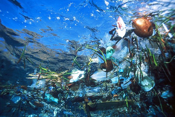 Bilder-Thread trash