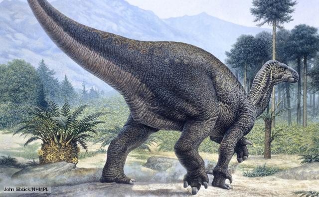 iguanodon 1