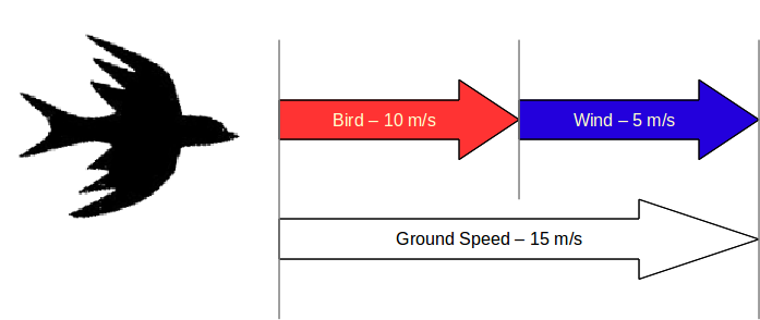 Longest Migration image4