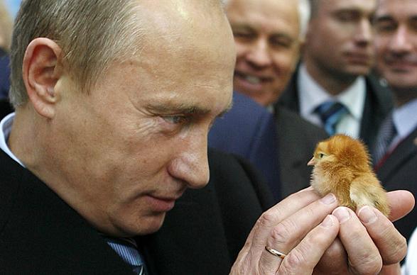 putin chick