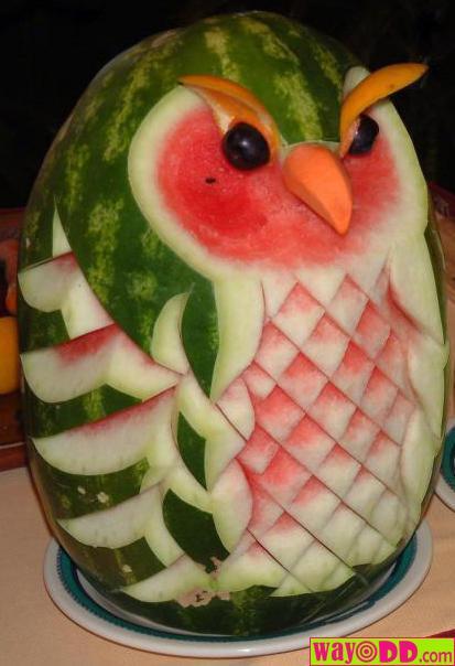 Bilder-Thread funny-pictures-nice-melon-owl-1ed