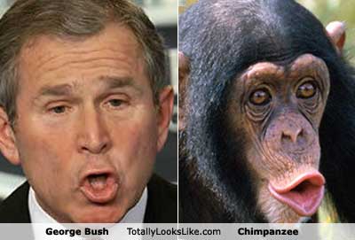 George W Bush Monkey