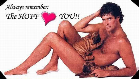 Hoff-loves-you