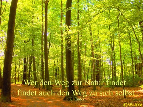 bpBcMHC7wdH18778 7892