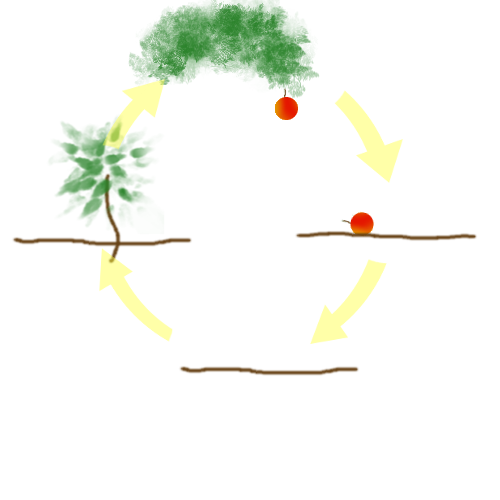 0bc6a3 kreislauf