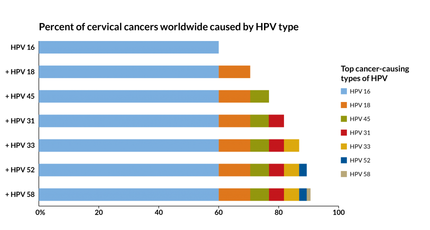 ns HPV vaccine graph 01