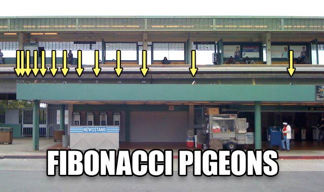 fibonacci pigeons