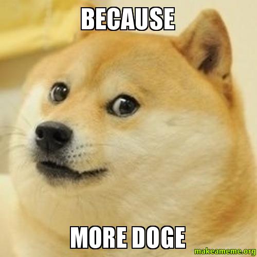 because-more-doge