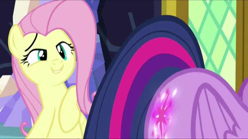 1022668 safe twilight sparkle fluttershy