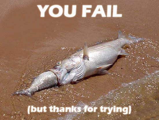 fish fail-14146