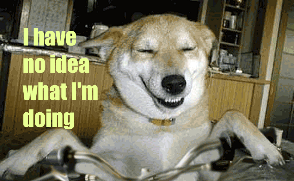 Bilder-Thread IhavenoideawhatI27mdoingdog