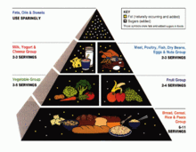 220px USDA Food Pyramid