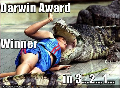 Bilder-Thread womanw-gator-DarwinAward PHoto-bigAPEonC