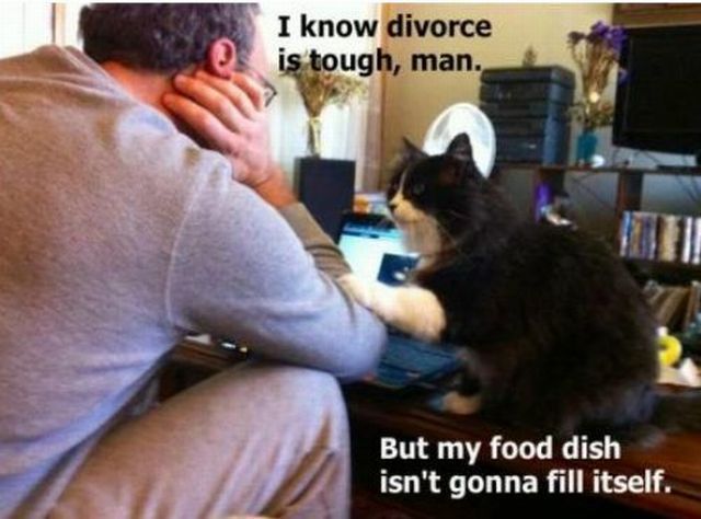 Bilder-Thread Funny-Pics-13.07.2012-14