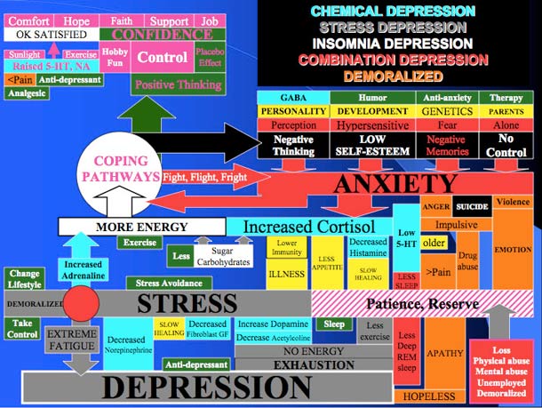 Burnout.Depression.Angst .-Stress.Webber