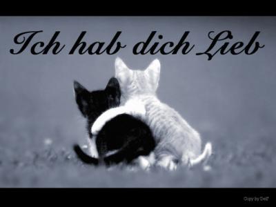 hab dich lieb