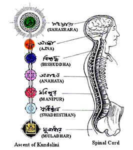 kundalini 18614