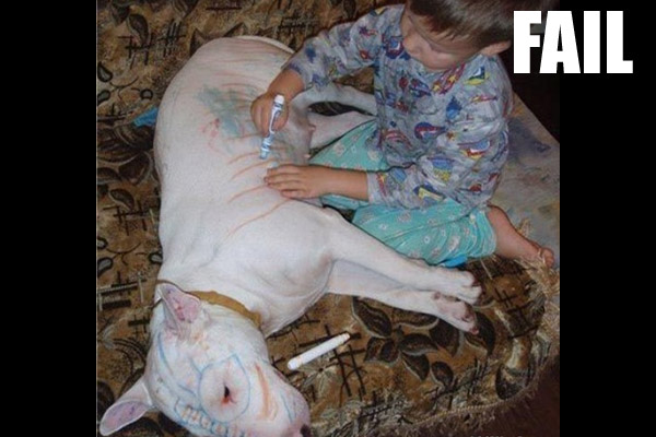 fail-animal-42-600x400