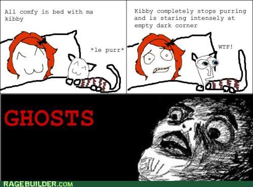Bilder-Thread tbJh2I3 rage-comics-animals-can-sense-these-thin