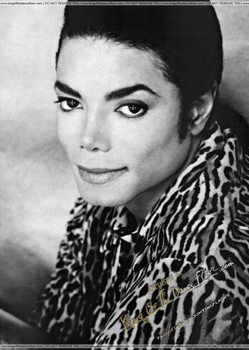 HD-quality-michael-jackson-17688382-356-