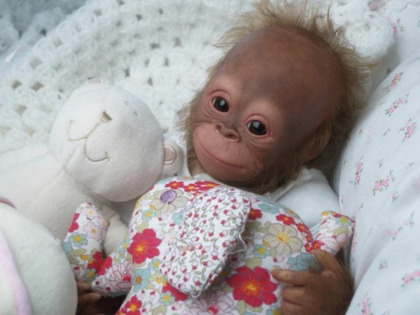 Fumos miese Spelunke affe-als-haustier-orang-utan-baby
